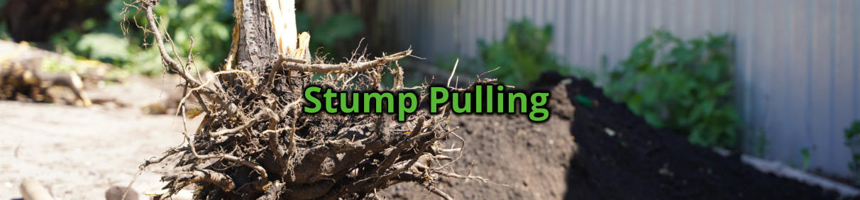 Stump Pulling