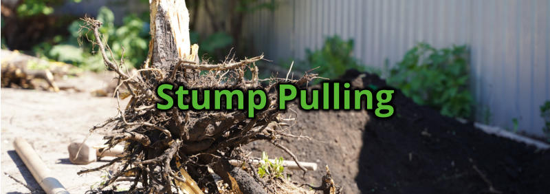 Stump Pulling