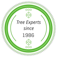Tree Experts in Stump Pulling in Grayling, Michigan