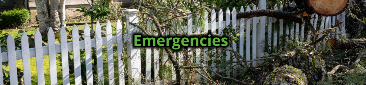 Emergencies