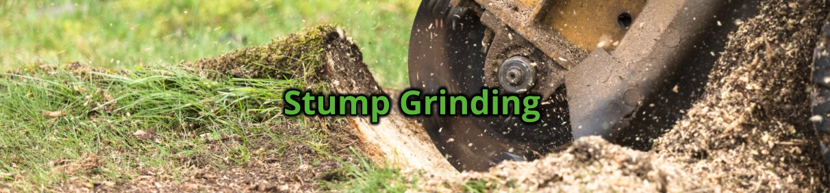 Stump Grinding