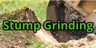 Stump Grinding