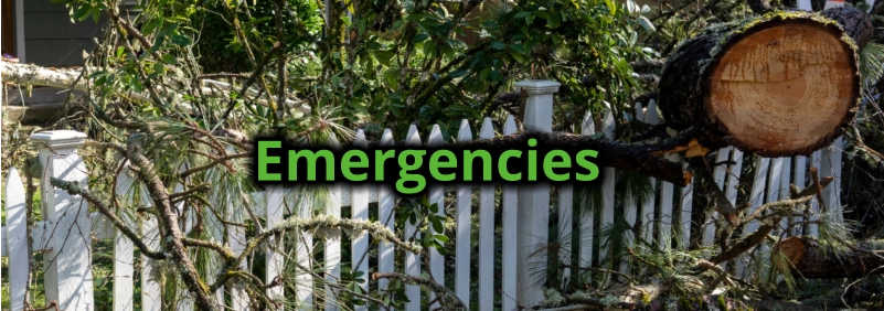 Emergencies