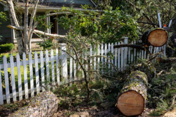 Emergency Tree Services in Crawford County, Otsego County, Roscommon County
