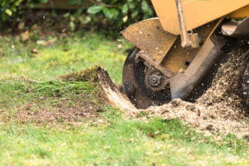 Stump Grinding in Crawford County, Otsego County, Roscommon County