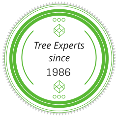 Tree Experts since 1986 in Otsego, MI
